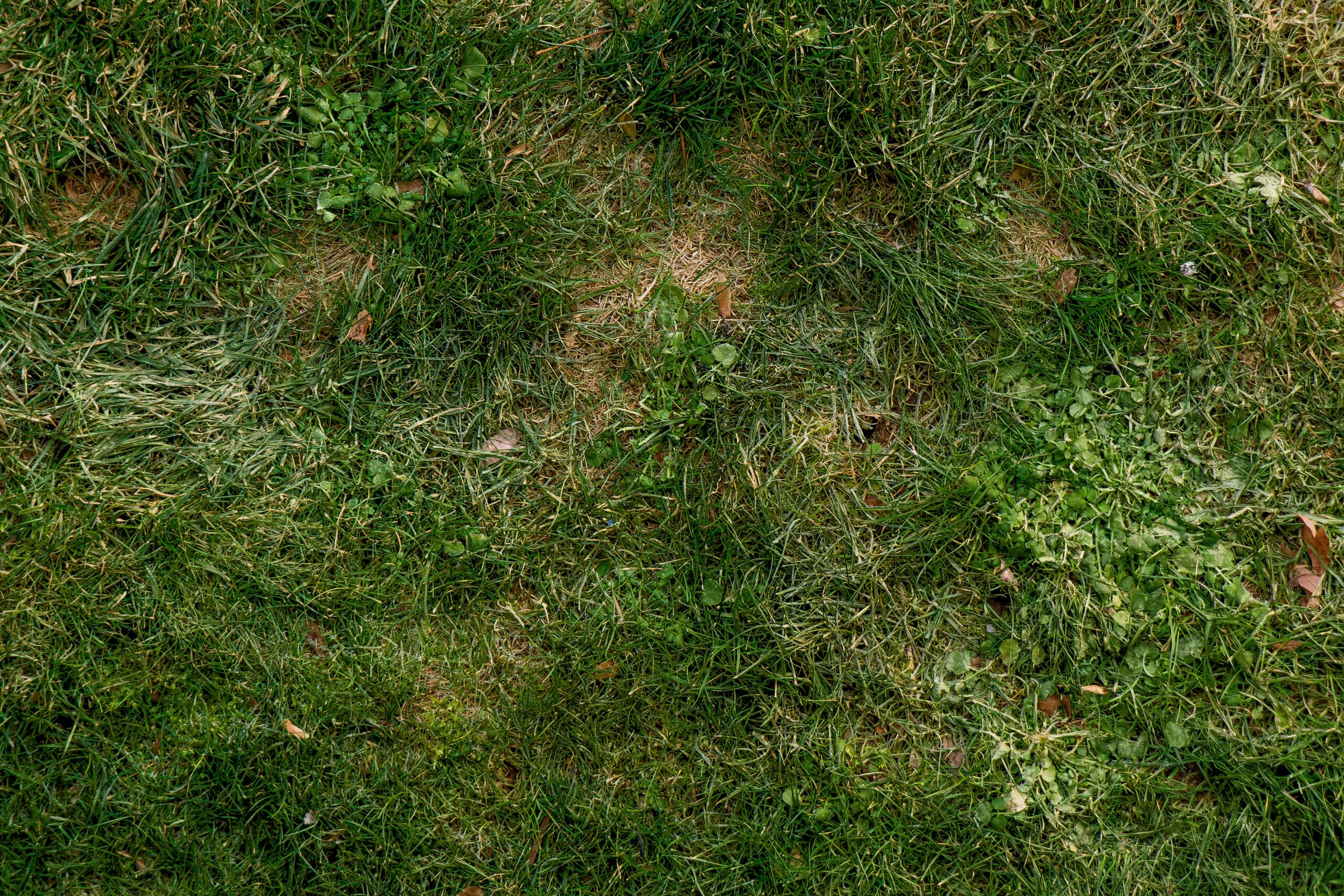 clay leconey u6jqr6adej4 unsplash